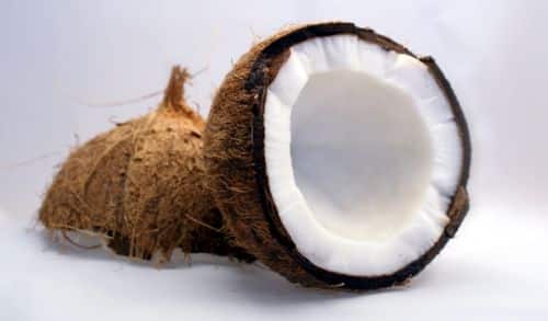 kako-raste-kokos