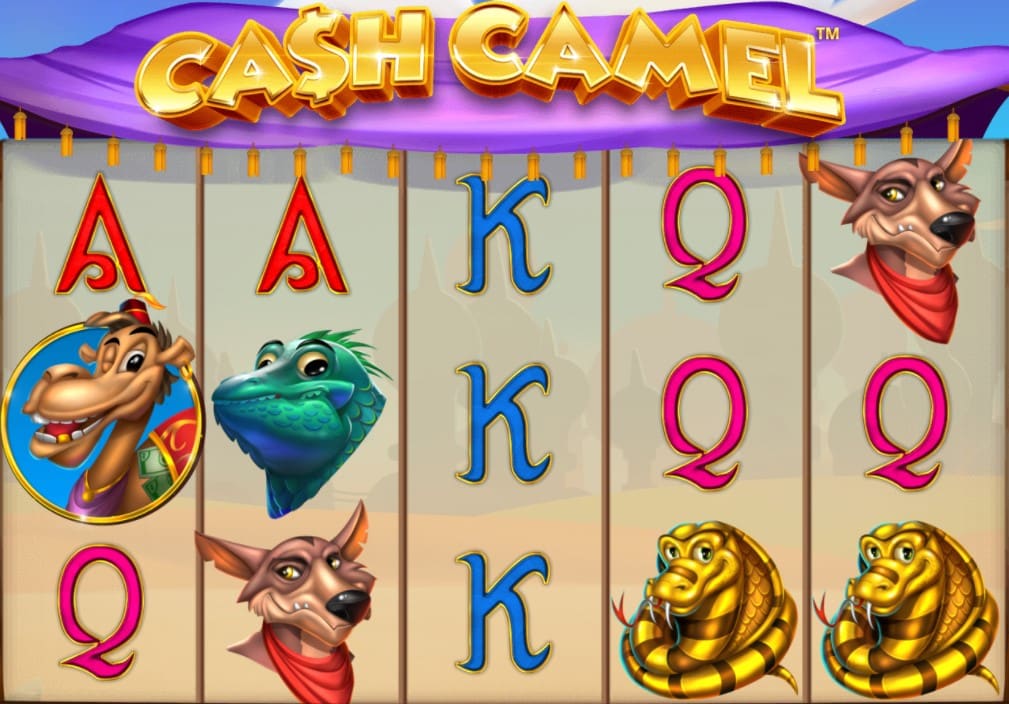 Izgled igre Cash Camel