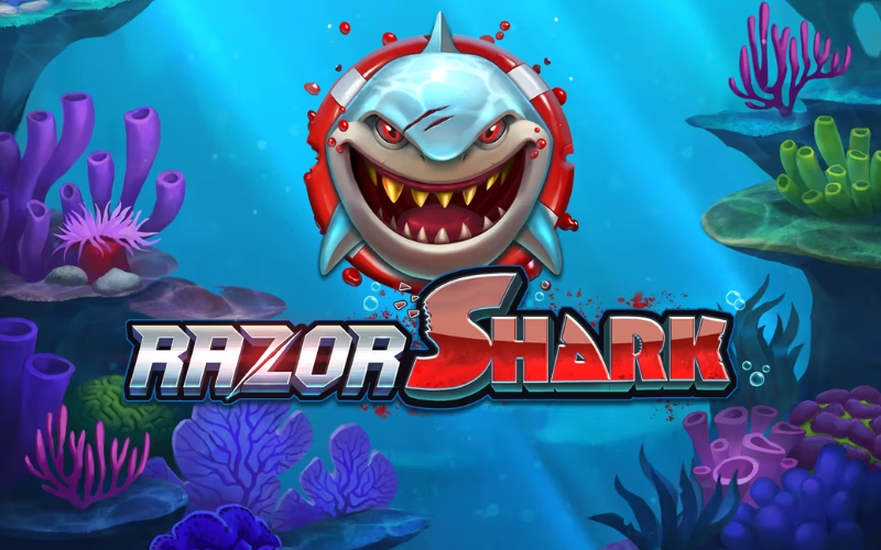 razor-shark razor-shark