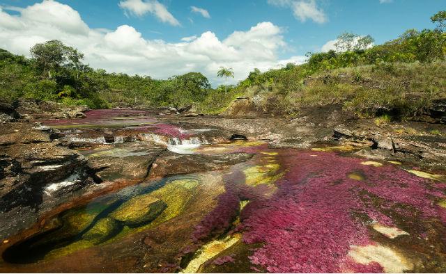 Foto: Fotur Colombia