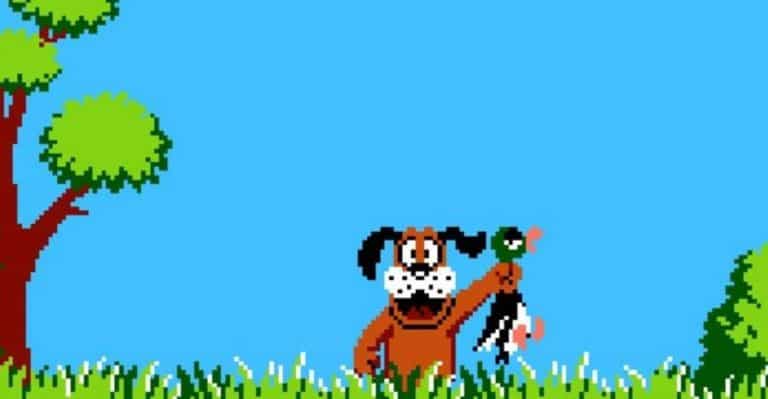 Duck Hunt