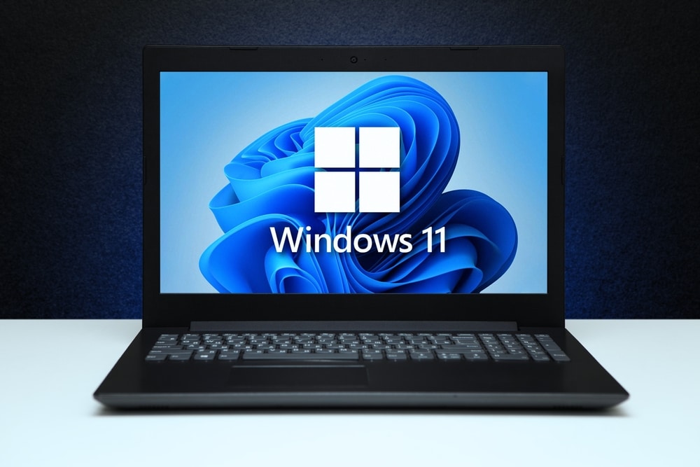 windows 11 na laptopu 