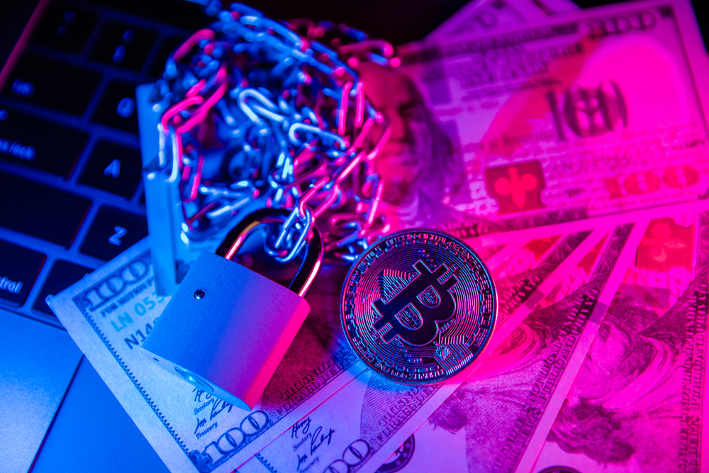 Softverski vs. hardverski kripto novčanik