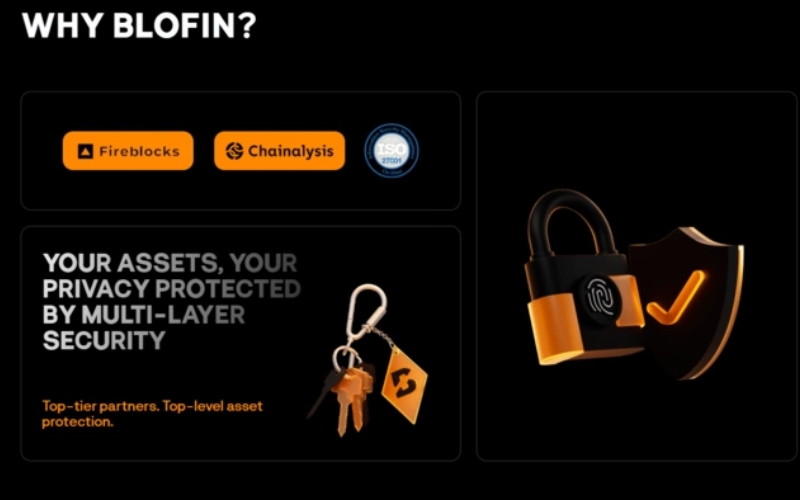 recenzija-blofina recenzija-blofina