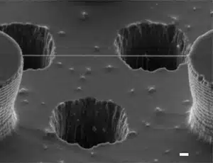 nategnuta nit DNA između dva nano-potpornja  