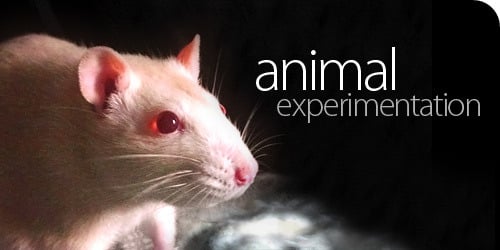 eksperimentiranje na životinjama