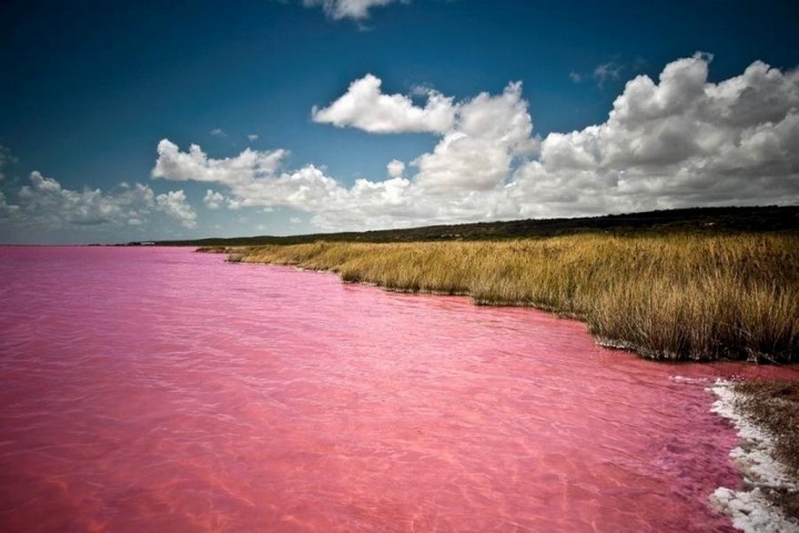 pink_lake2