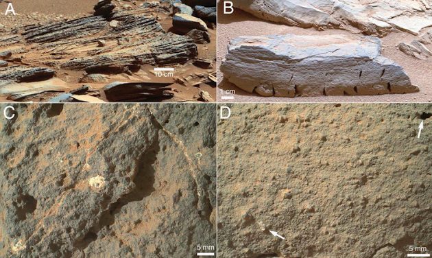 Kamenja koja je Curiosity pronašao na Marsu. (Credit NASA)