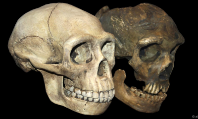 problemi s datiranjem fosila druženje nakon što su dugo bili prijatelji