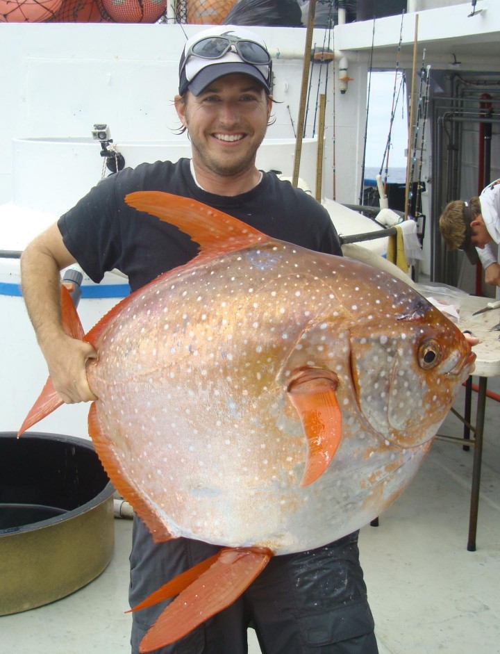 credit: NOAA Fisheries/Southwest Fisheries Science Center