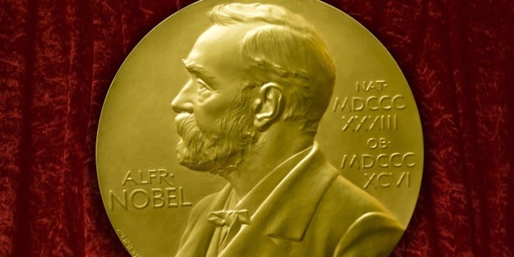 Johannes V. Jensens Nobel Prize winner medal from 1944 (Photo by: myLoupe/Universal Images Group via Getty Images)