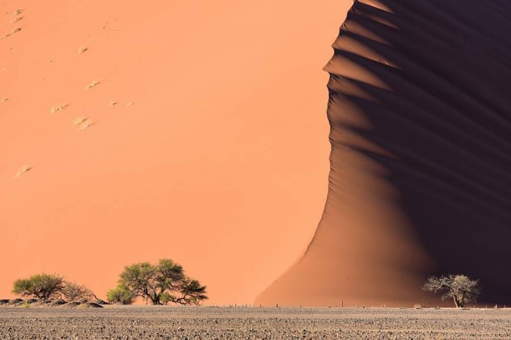 Pješčane dine u Namibiji