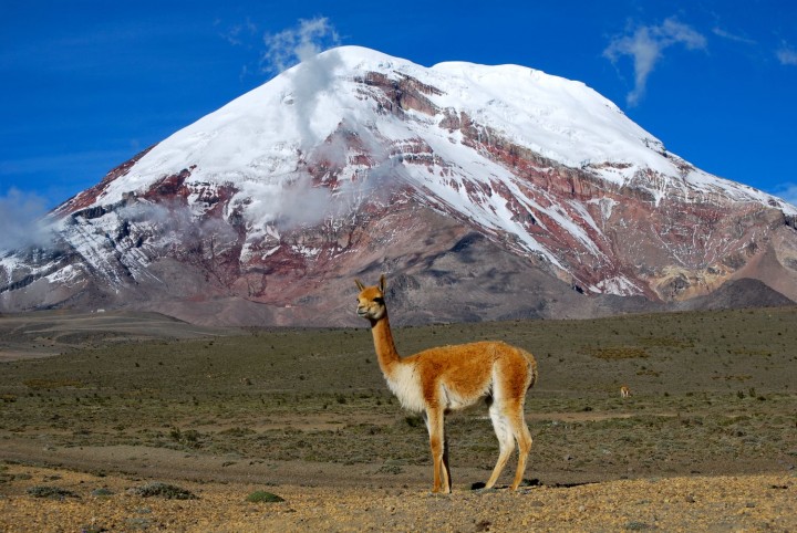 Chimborazo, Ekvador (FOTO: David Torres Costales / Wikipedia)