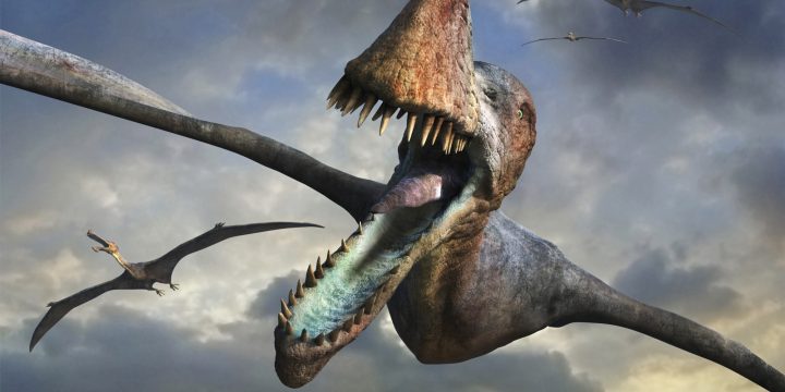 Tek su tri vrste kralježnjaka svladale kretanje zrakom: pterosauri, ptice i šišmiši (Credit: Huffington Post)