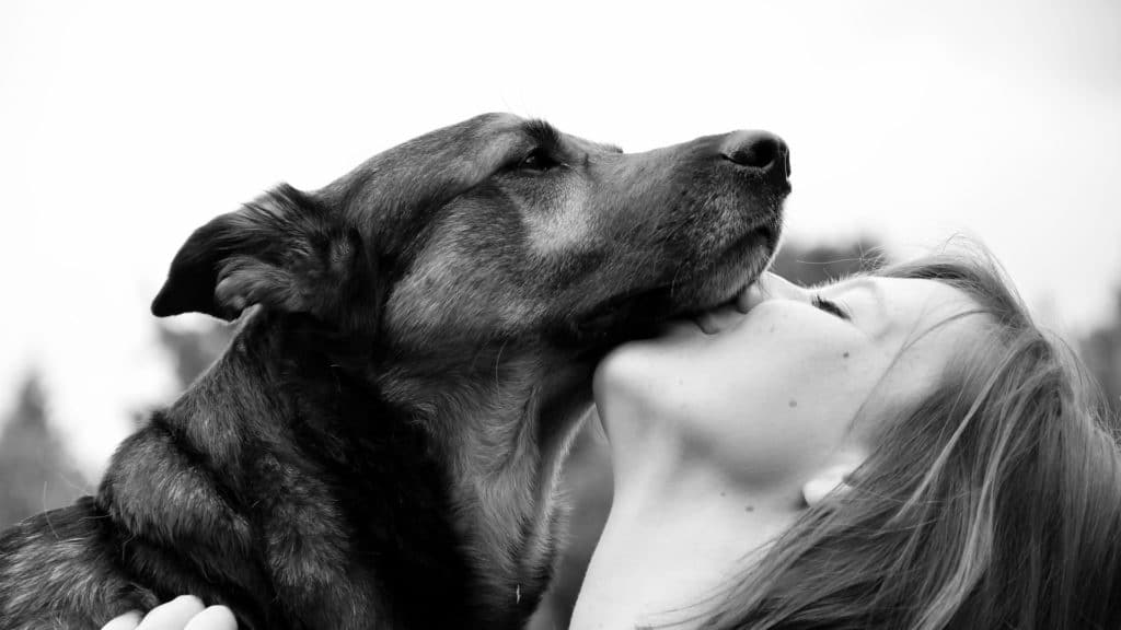 Je li ljubljenje pasa baš toliko bezopasno?
