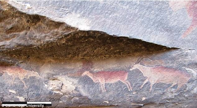 By collecting samples of paint, researchers were able to identify the types of carbons in the pigments and ultimately date them as more than 5,000 years old – deeming the drawings the ‘earliest directly dated’ paintings in the region