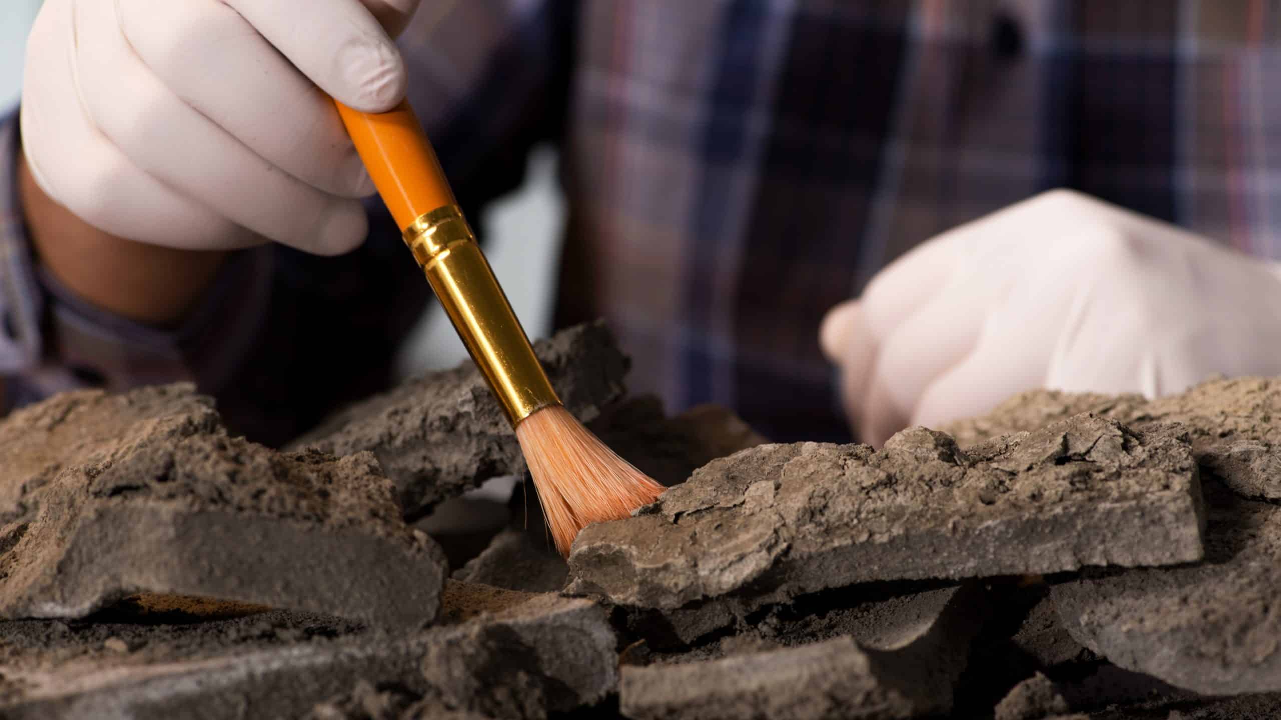 Arheolozi su u Pompejima otkrili 'najšokantniji primjer rimskog ropstva'