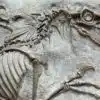 'Jedan u milijun': Sir David Attenborough oduševljen otkrićem rijetkim fosilom dinosaura