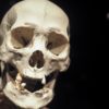 Neandertalci kao nikad prije: Otkrivanje tajni izgubljenog svijeta
