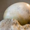 Savršeno očuvan embrion dinosaura pronađen unutar fosiliziranog jajeta