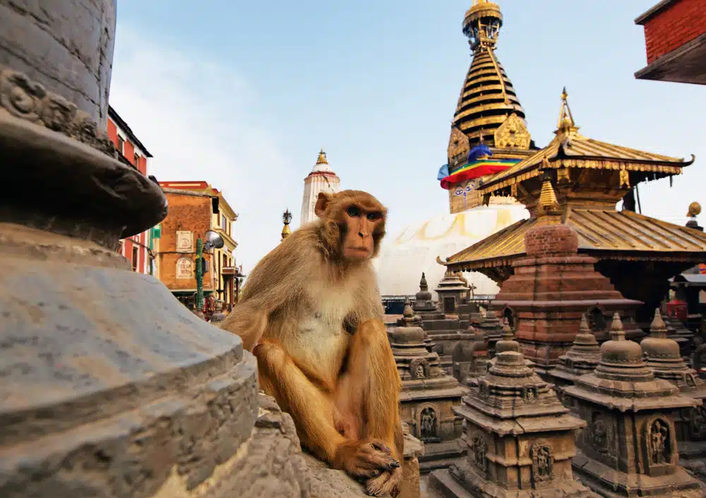 običaji u Nepalu mijenjaju se kroz migracije ljudi