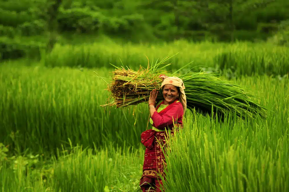 običaji u Nepalu podrazumijevaju veliku važnost poljoprivrede