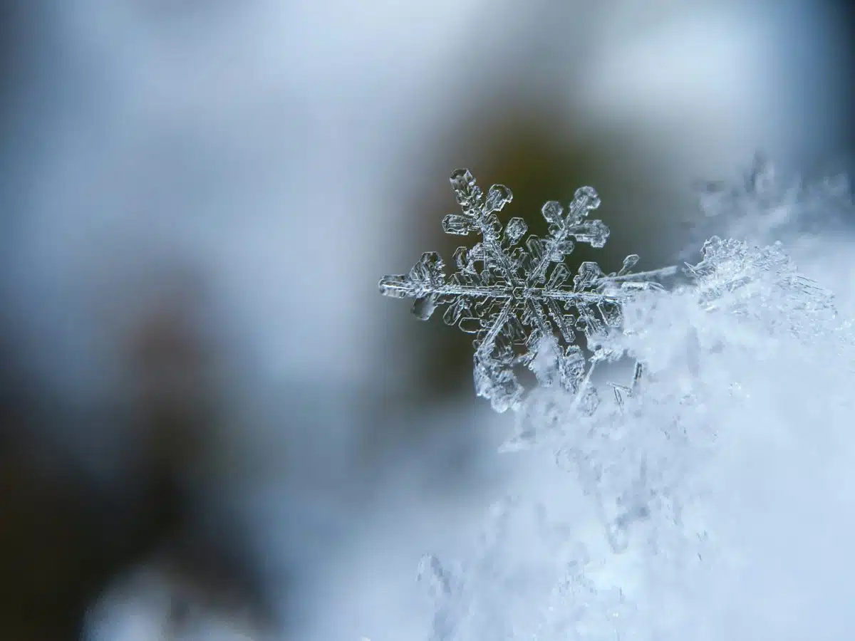 fraktali u prirodi, najpoznatiji primjer su pahulje snijega