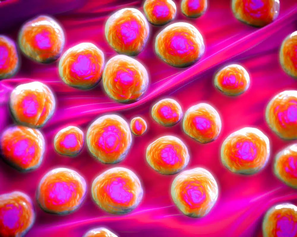 teorija evolucije može objasniti i otpornost na antibiotike koju razvijaju neke vrste bakterija i virusa