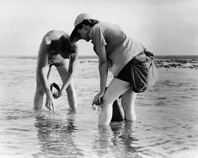 Rachel Carson se obrazovala za morsku biologiju i zoologiju.