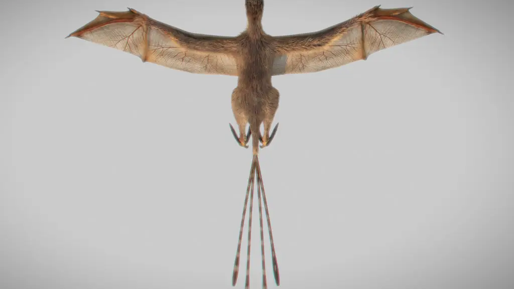 Ambopteryx longibrachium, novootkrivena vrsta scansoriopterigidnog dinosaura sa šišmišolikim krilima, pronađena u provinciji Liaoning, Kina. Zasluge: Min Wang/Kineska akademija znanosti