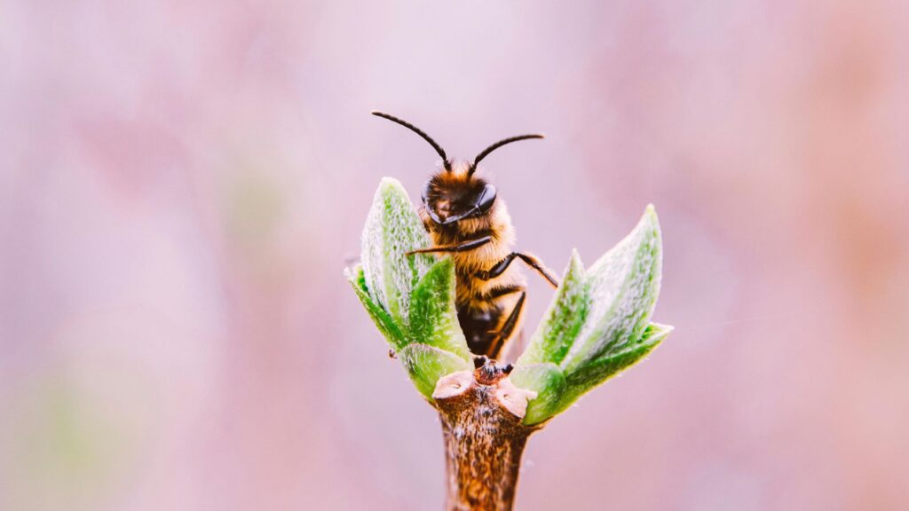 insekti koji su promijenili svijet